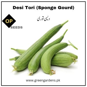 Desi Tori Seeds (Sponge Gourd) دیسی توری