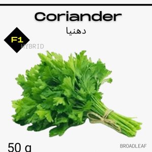 Coriander Seeds, F1 Hybrid – 50g
