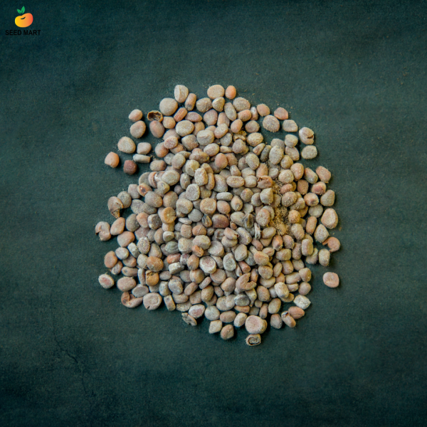 Radish Red – Round لال مولی گول – Seedmart