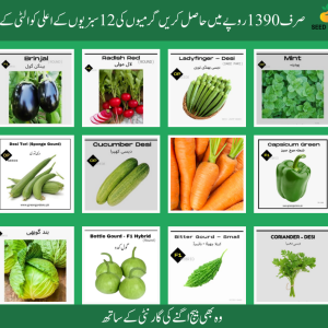 Summer Vegetable Deal